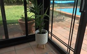 Frangipani